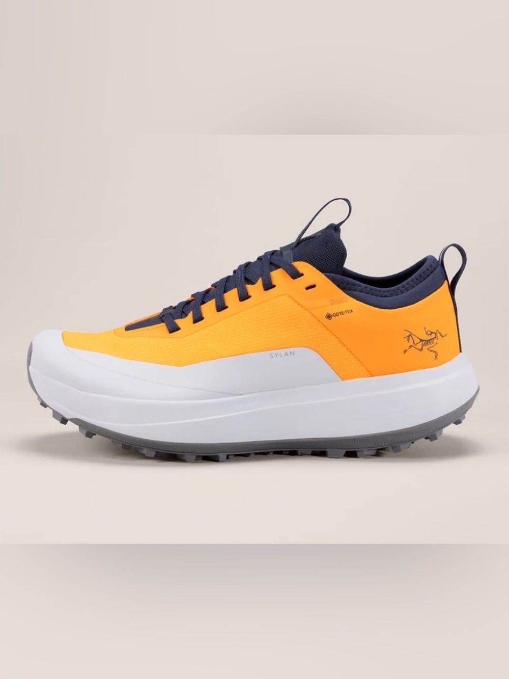 Arc'teryx Women’s Sylvan Trail Shoe Gore Tex